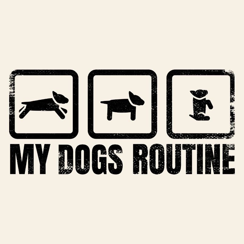 Hunde Routine