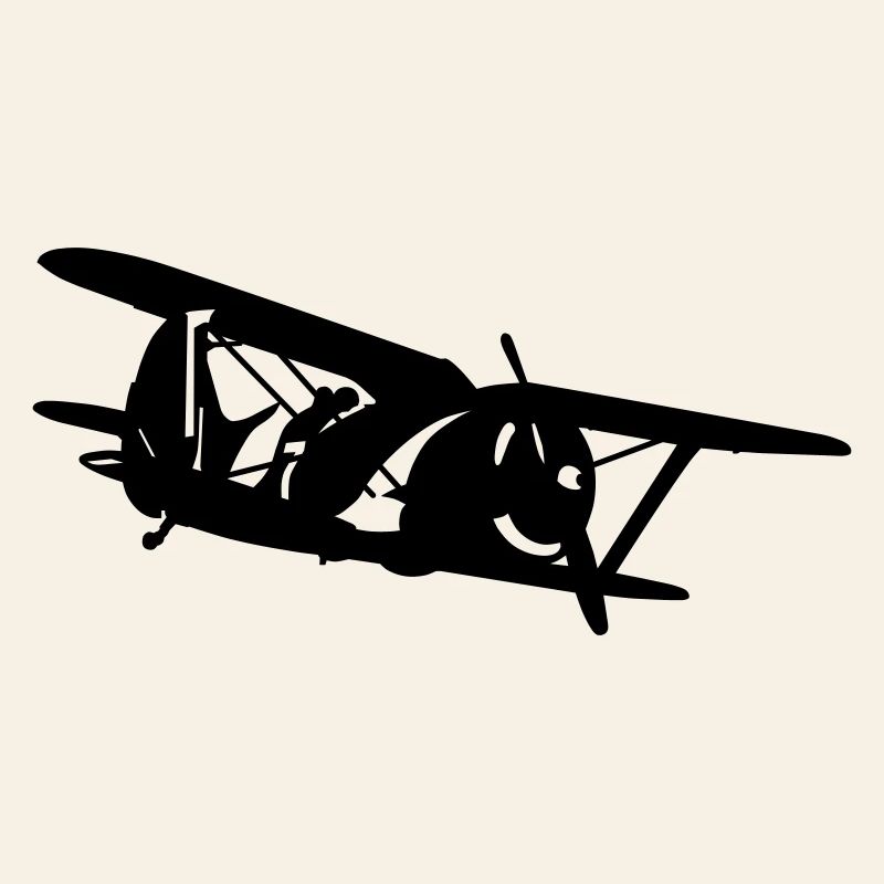 Biplan i-153
