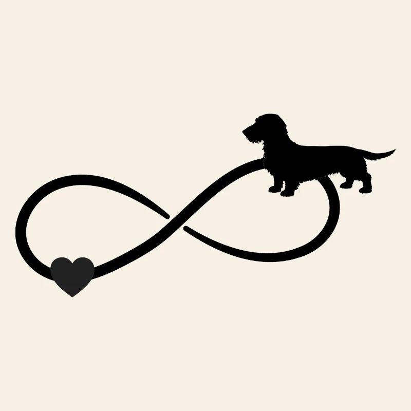 Teckel aux cheveux durs Teckel Infinity