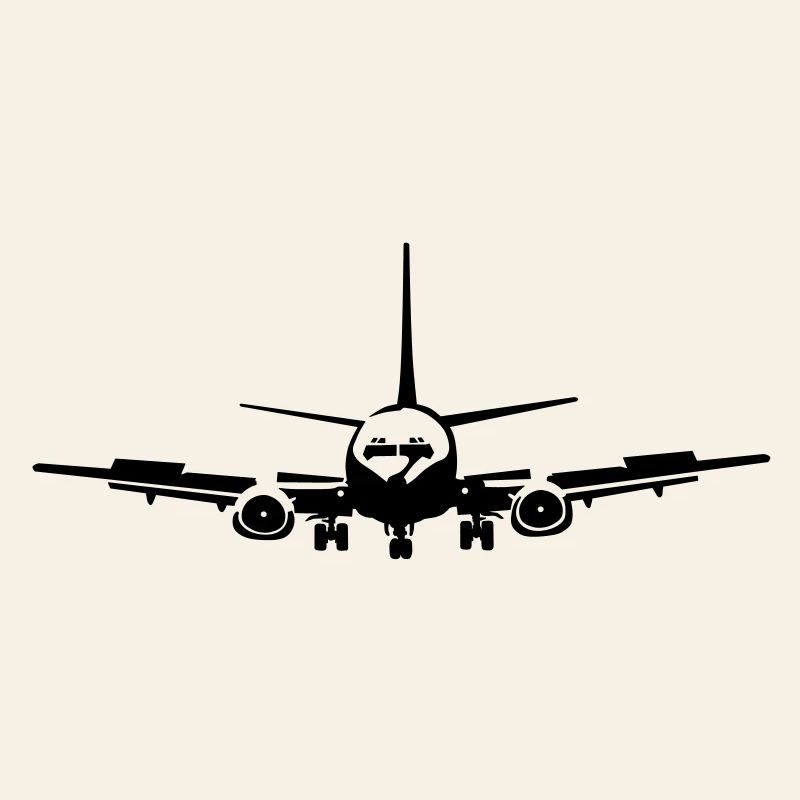 _737_1