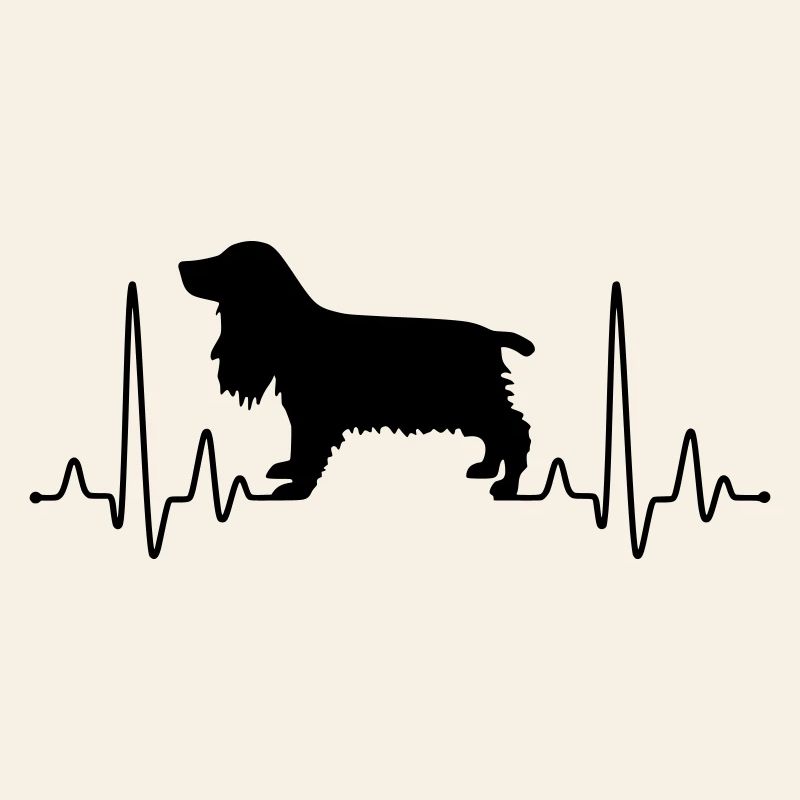Cocker Spaniel Plus