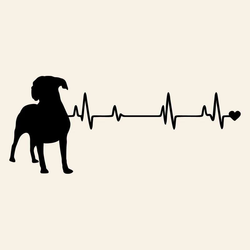 Chien