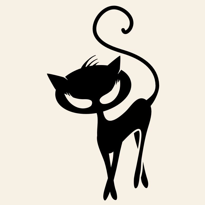 A black cat