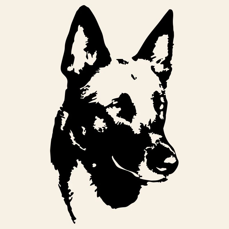 Malinois Kopf