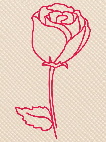 Rosenumriss Neonpink