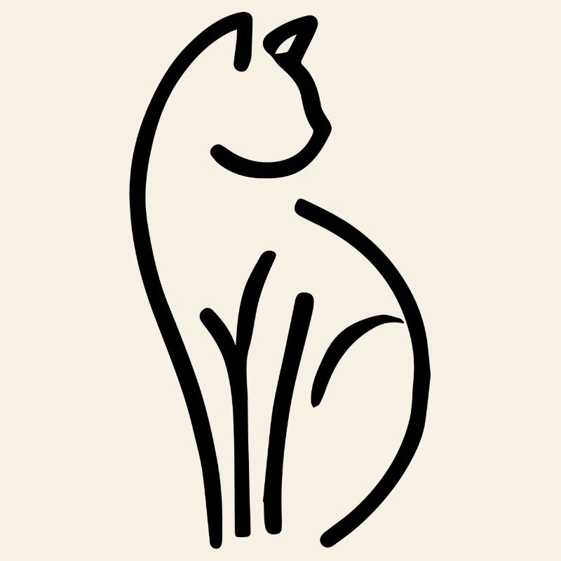 Chat minimaliste