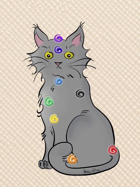 Chat-kra