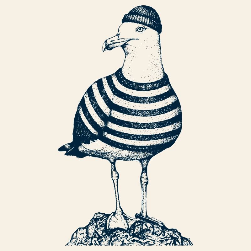 Möwe mit Pulli