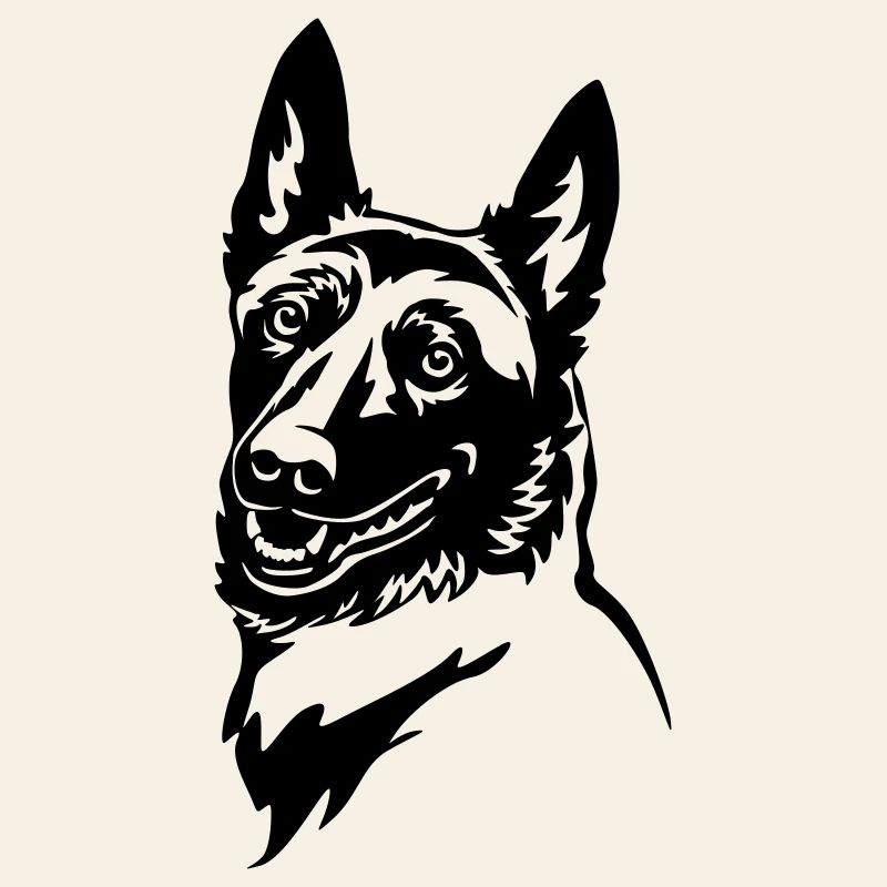 Malinois Head