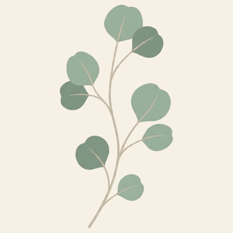 Rameau de feuille d’eucalyptus
