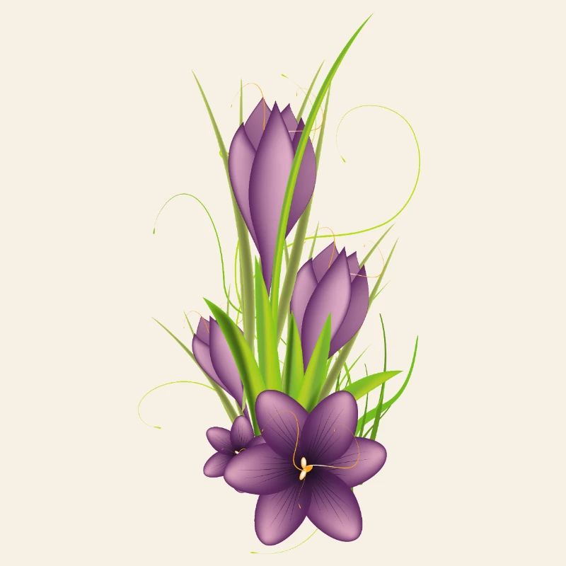 Des crocus violets délicats dans une illustration élégante