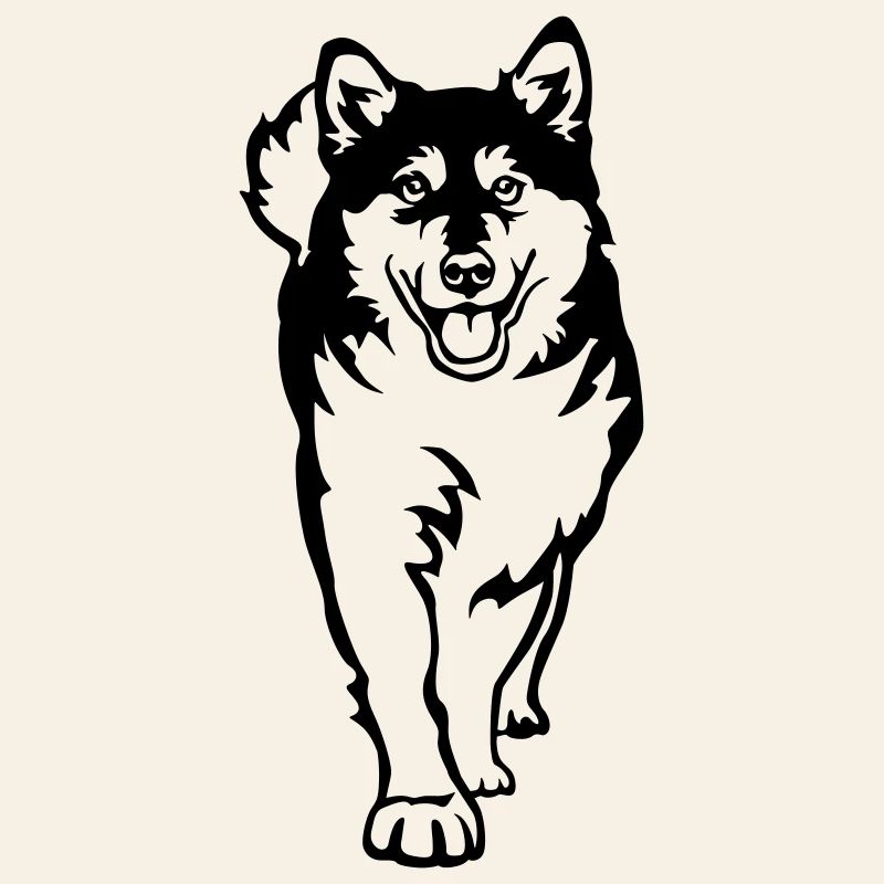 Malamute d’Alaska