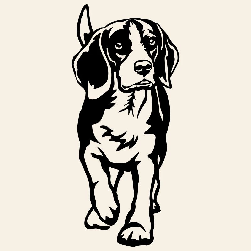 Beagle