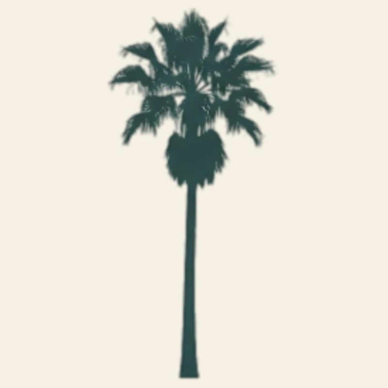 Conception de palmier tropical