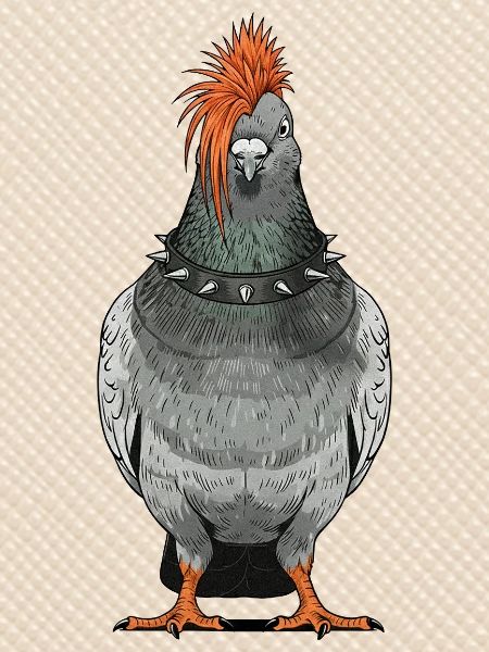 Punk Taube