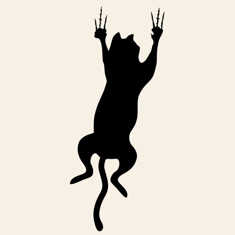 cat scratch