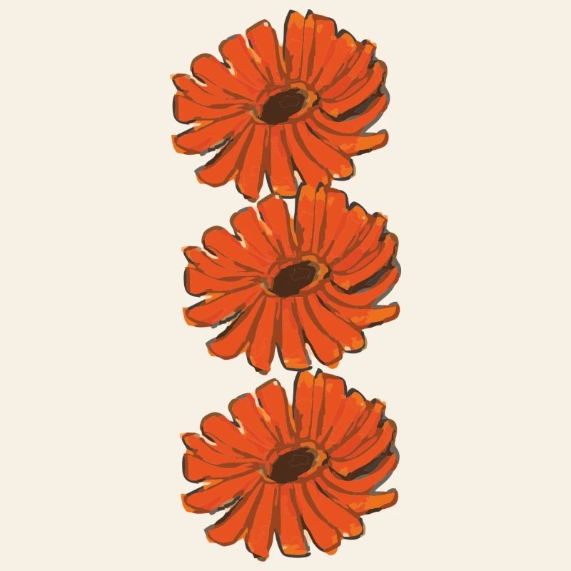 calendula marigold