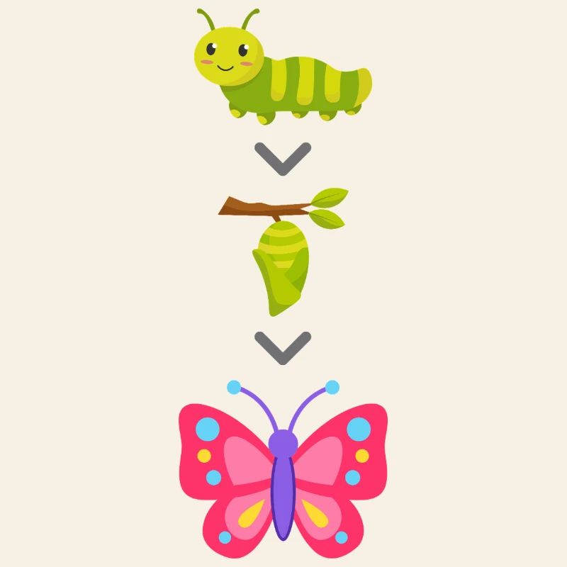 Transformation de chenille en papillon