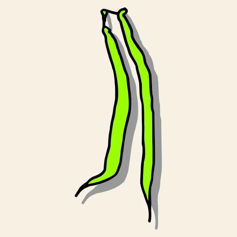 Haricots verts