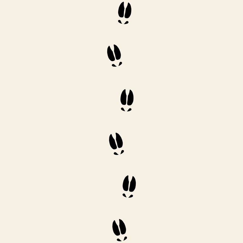 Moose tracks