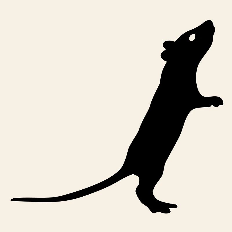 Ratte