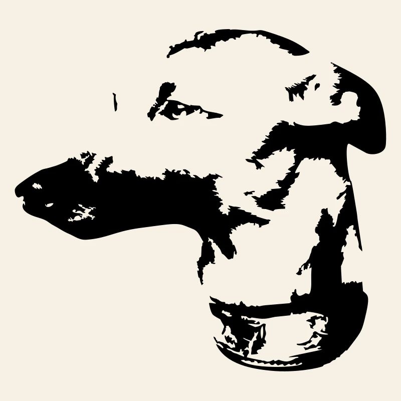 Tête de whippet