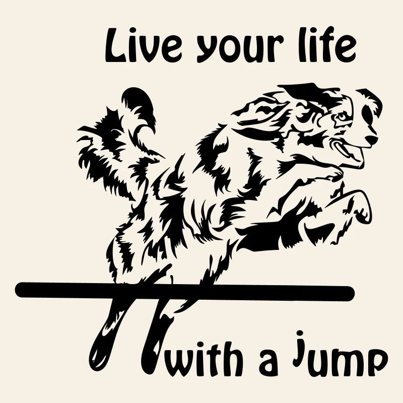 Agility Australian Shepherd Aussie
