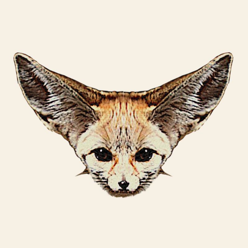 fuchskleidung mädchen, Wüstenfuchs gesicht