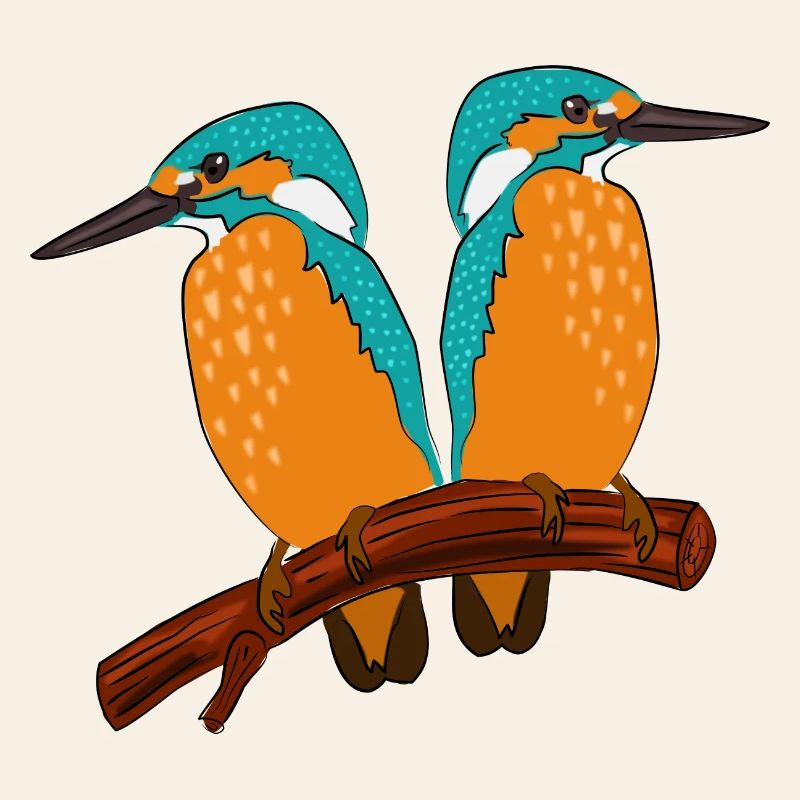 Eisvogel Pärchen