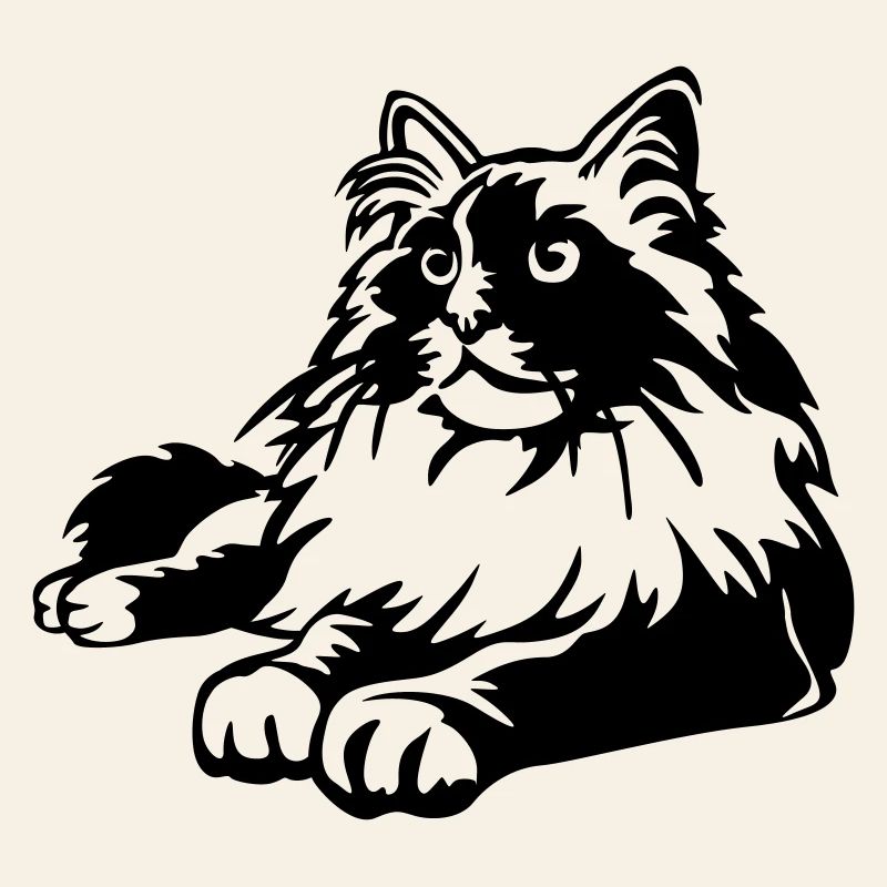 Ragdoll Katze