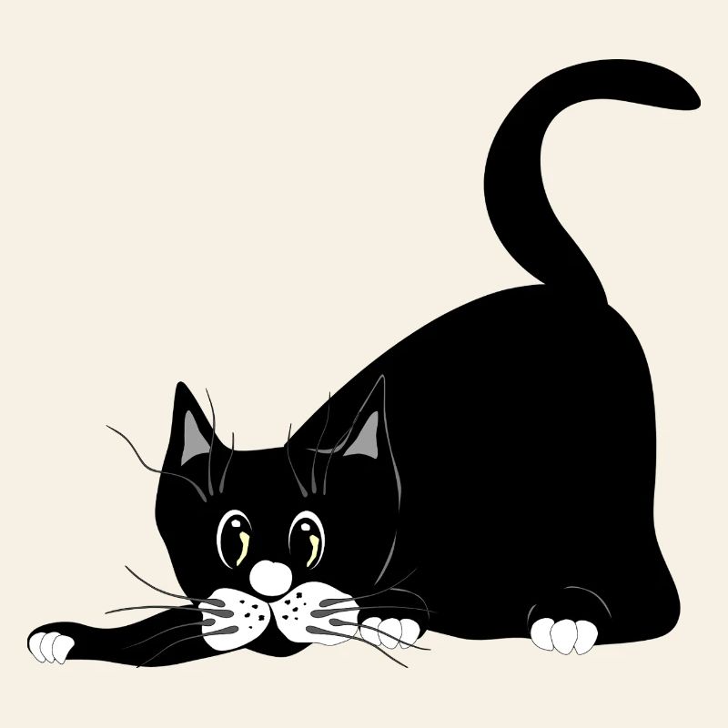 chat
