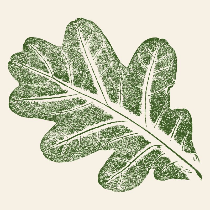 Oak leaf