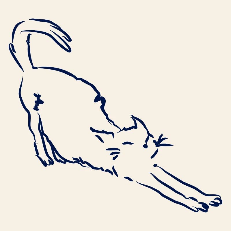 Le chat s’étire