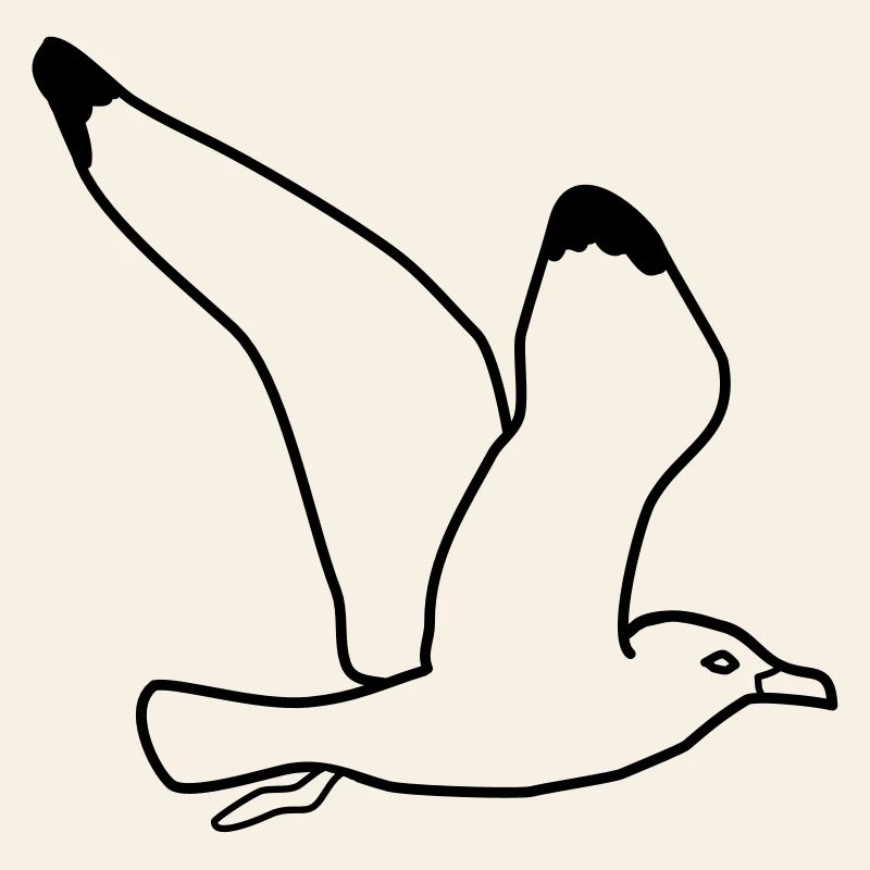 mouette