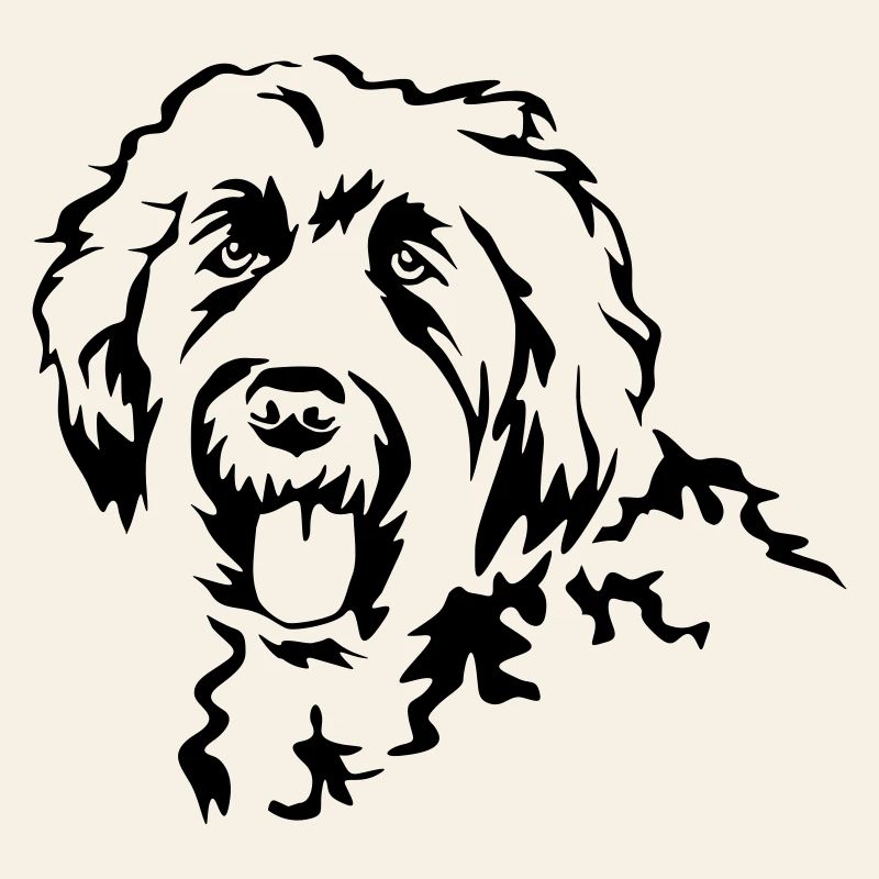 Tête Labradoodle