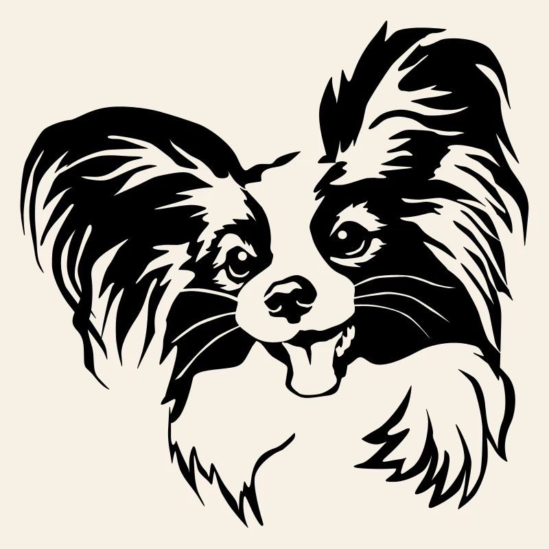 Tête de Papillon