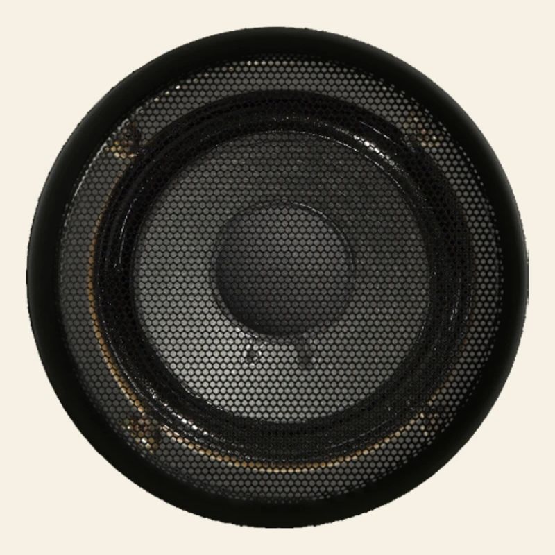 Speaker Box Speaker