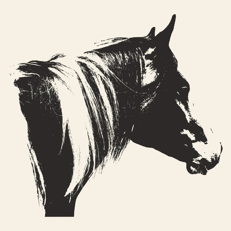 Lewitzer Schecke, Pferd Schecke, Pinto reiten