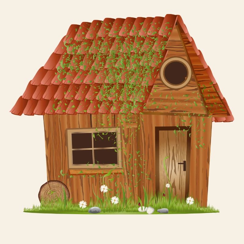 small windswept rustic hut