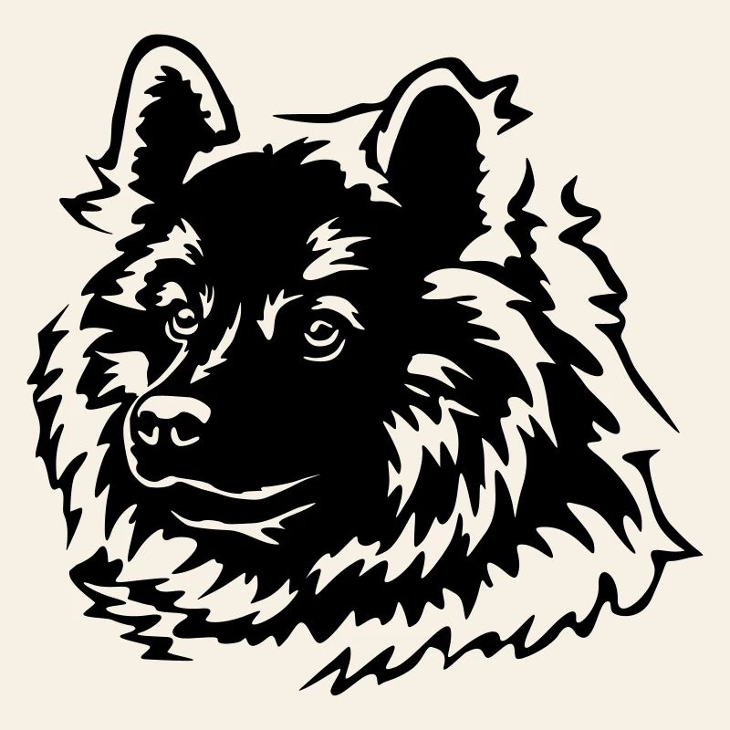 Eurasier Kopf