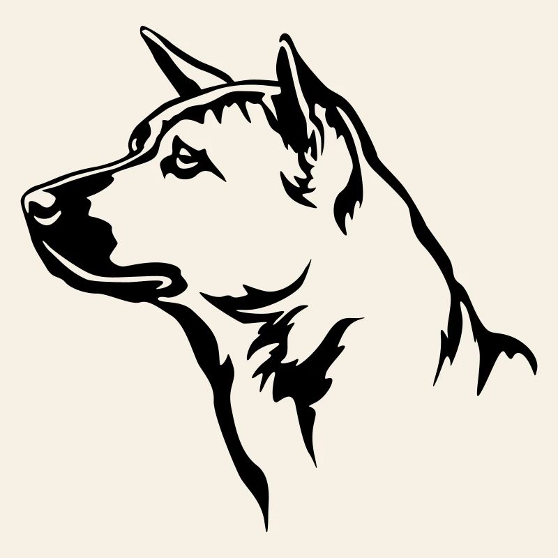 Thai Ridgeback Kopf