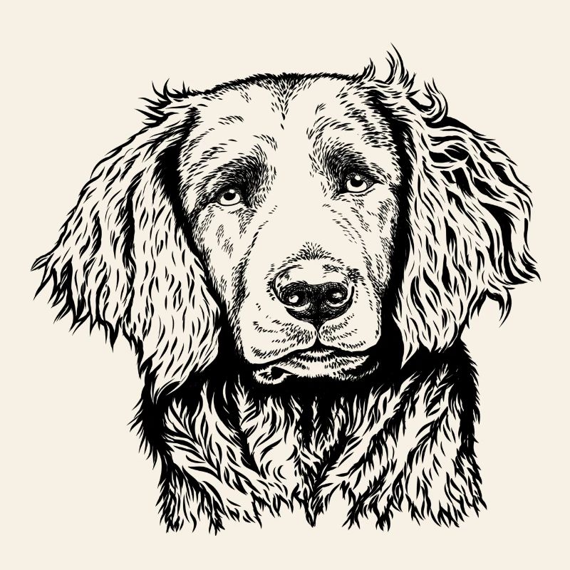 Portrait de caille