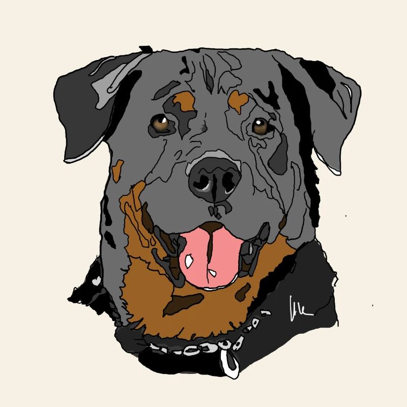 Rottweiler