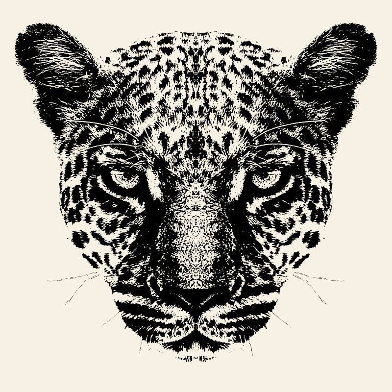 Leopard / Head / Black