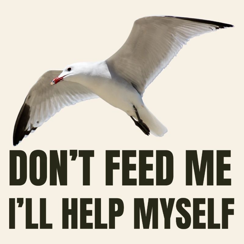 Seagull with Bold Statement