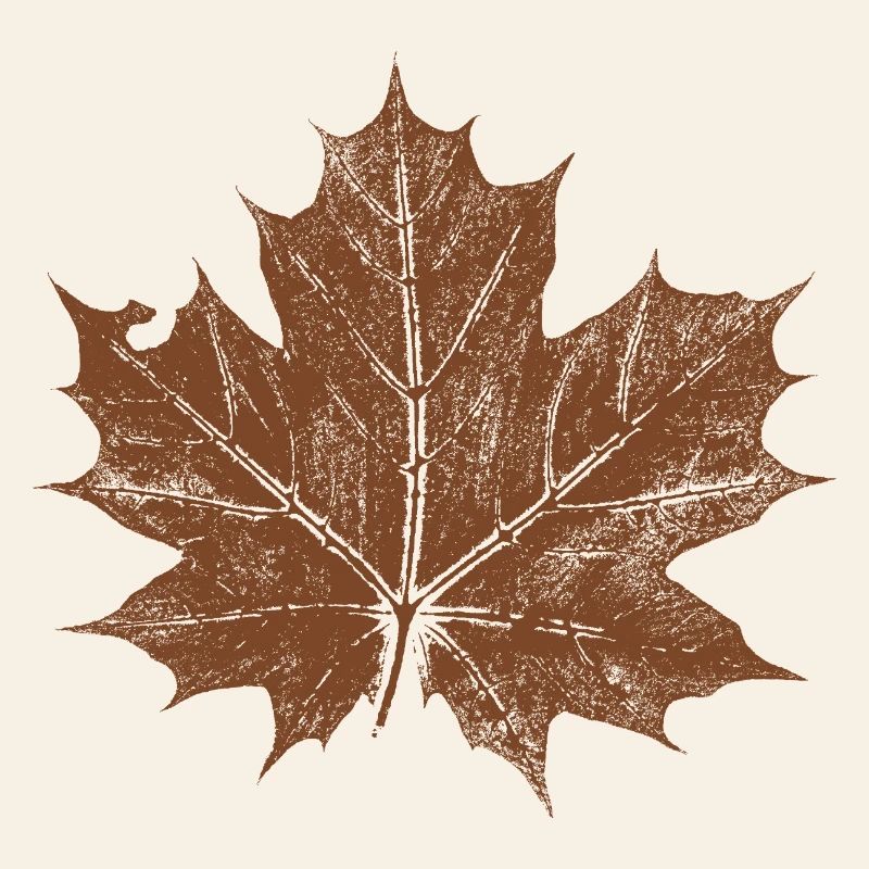 feuille d'érable