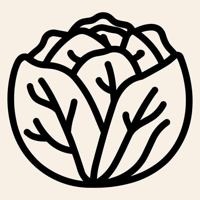 cabbage