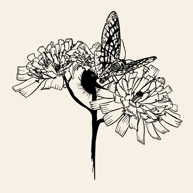 Papillon sur fleurs