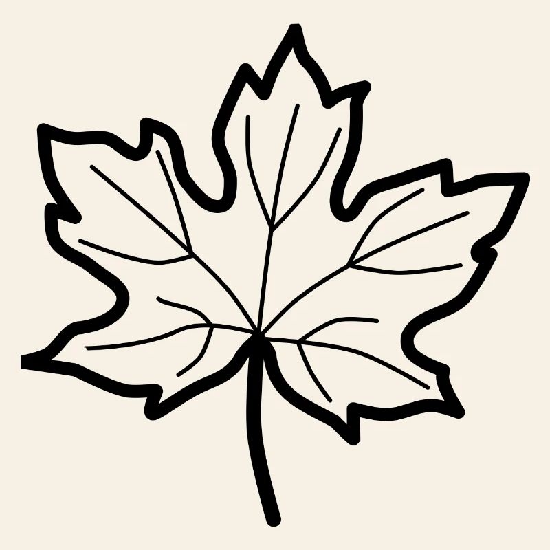 Deciduous leaf - autumn