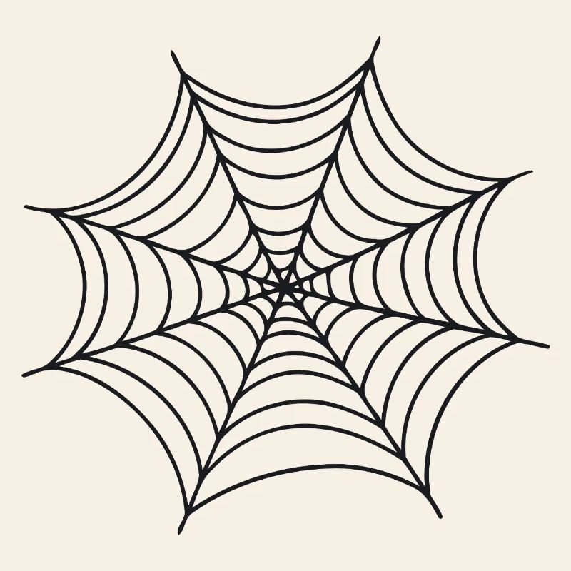 Black Minimalist Spider Web